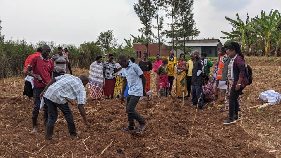 Farmer training session